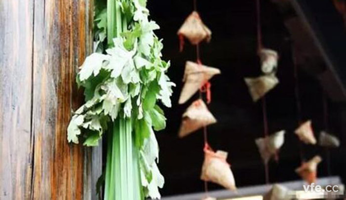 菖蒲、艾葉 菖蒲、艾葉