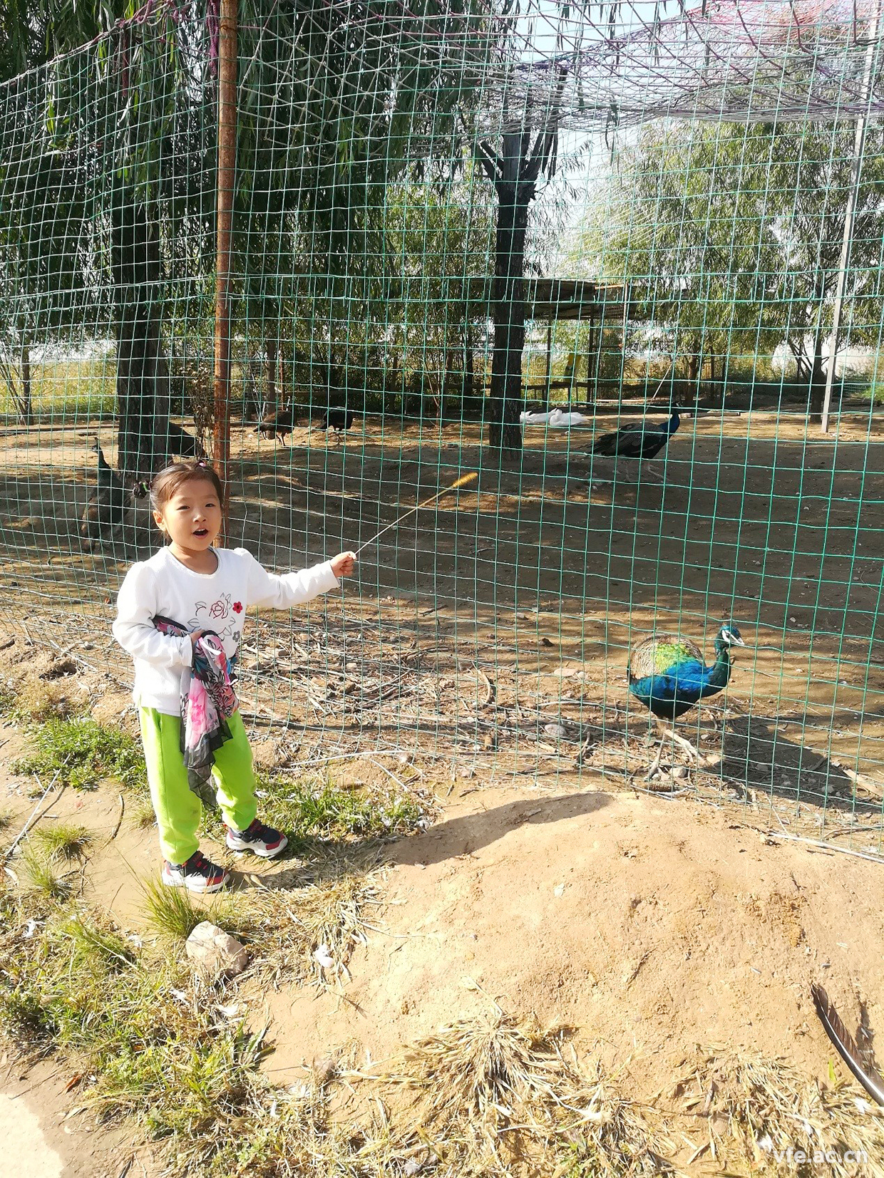 內蒙之行,難忘之旅 內蒙之行,難忘之旅